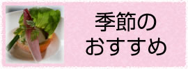 季節のおすすめ